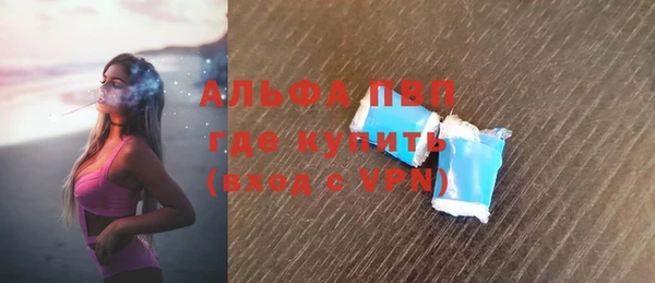 прущие грибы Абаза