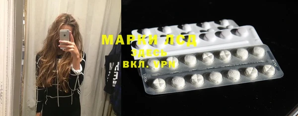 индика Алексин