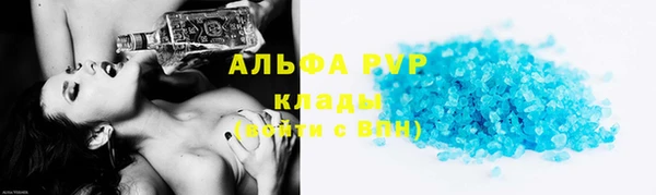 шишки Елизово