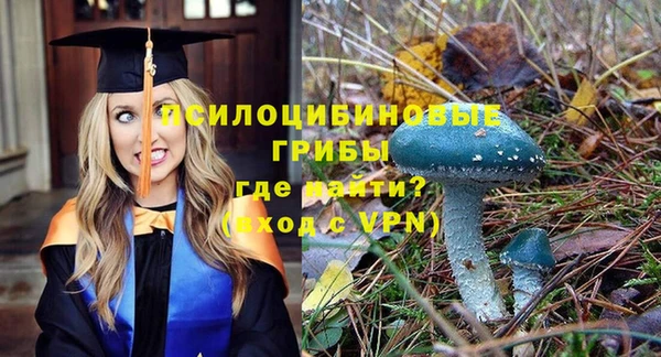 ALPHA-PVP Абинск