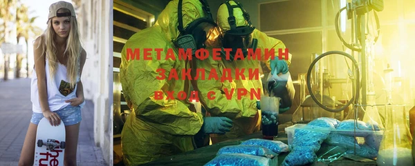 прущие грибы Абаза